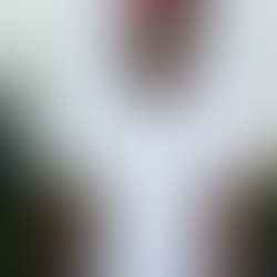 Artist 3082361 1517501998