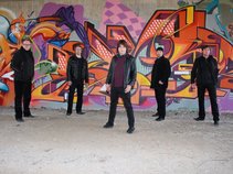 The Electrified Cats