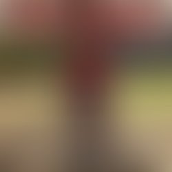 78c33ff6 75e7 4a8f b20a fdfcd5234462
