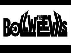 Image for The Bollweevils