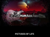 Hammrock Band