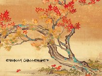 Equally Challenged