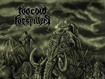 Too Cold For Spiders