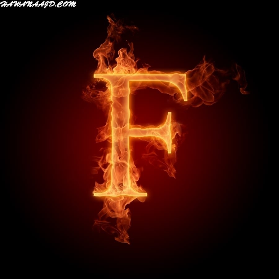ReverbNation profile picture for @febin