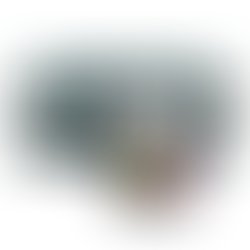 1359111421 hresbomb