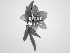 Image for Bruno Merz