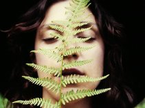 The Wild Hymns