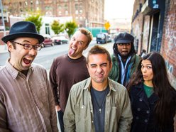 Image for Mike Delledera Band