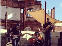 The BlackBird Project