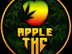 Apple THC