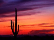 Desert Mystic