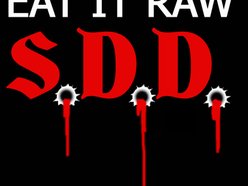 Image for SDD