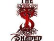 The Shaded