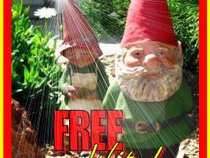 FreeWitch
