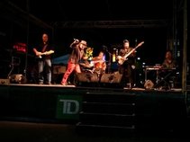 The Madcats