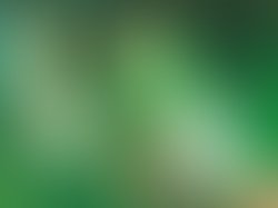 1362970036 1608880