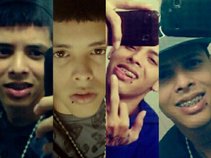 DjWisePR