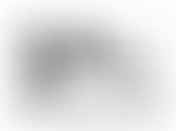 1360798193 rudicals logo