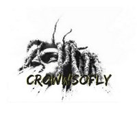 Crowwsofly 1 
