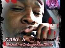 Kang B