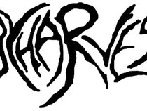 BodyHarvest