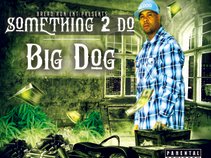 Big Dog