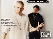 Disco & Vibe Mello