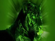 GREEN PANTHER