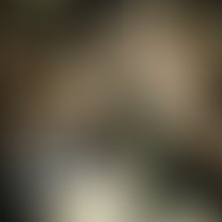1425760242 jason eguis   avatar 02