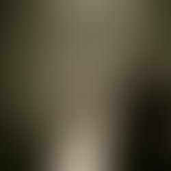 1379744471 colin and breanna wedding in the woods