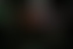 Palladium club bideford 07