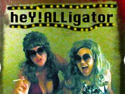 Image for heY!ALLigator