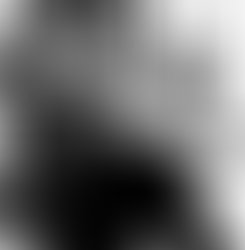 1361501574 1008818507969 7719 n