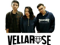 Vellarose