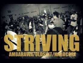 ReverbNation profile picture for @striving