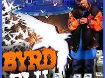 Byrd Loco STR8 MOBBIN