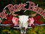 The Rose Bandits (Artist)