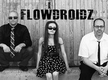 Flowdroidz