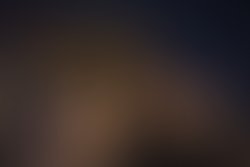 The response carnival 7