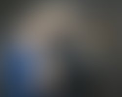 1423261455 ginger   scott 2013 1  blue 