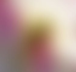 1386876887 artist 3192334 1386876869