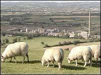 Image for The Desperado Under the Eaves