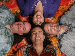 Image for The Large Flowerheads
