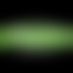 1362419559 268802669913190 594324592 n