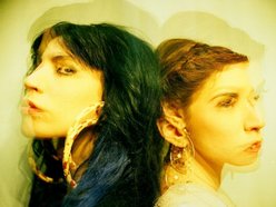 Image for American Echoes