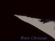 Rose Christair
