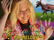 Mr. Melody™