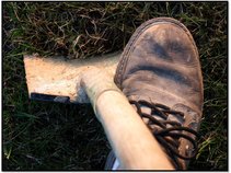 Revolution at the Zephyr