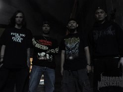 HUMAN MASTICATION