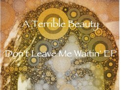 Image for A Terrible Beauty